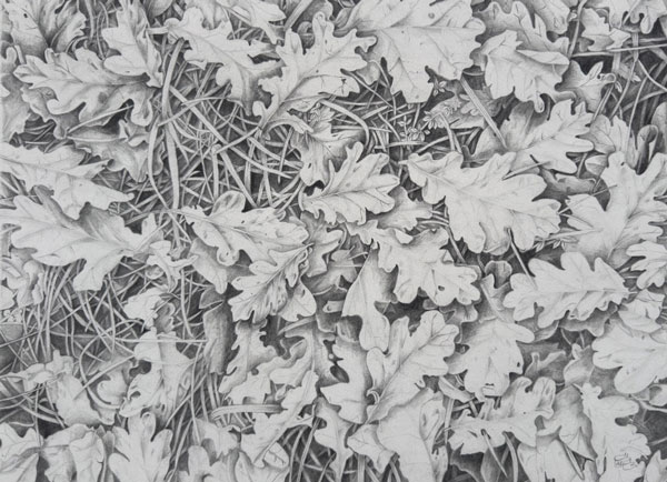 Watch where you are walking by Annie Berriman